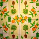ORA-043 Oranges - 3-ply - Duni